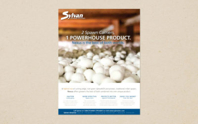 Sylvan Ad
