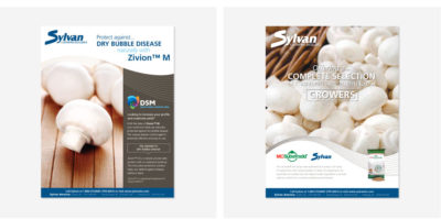 Sylvan Ads