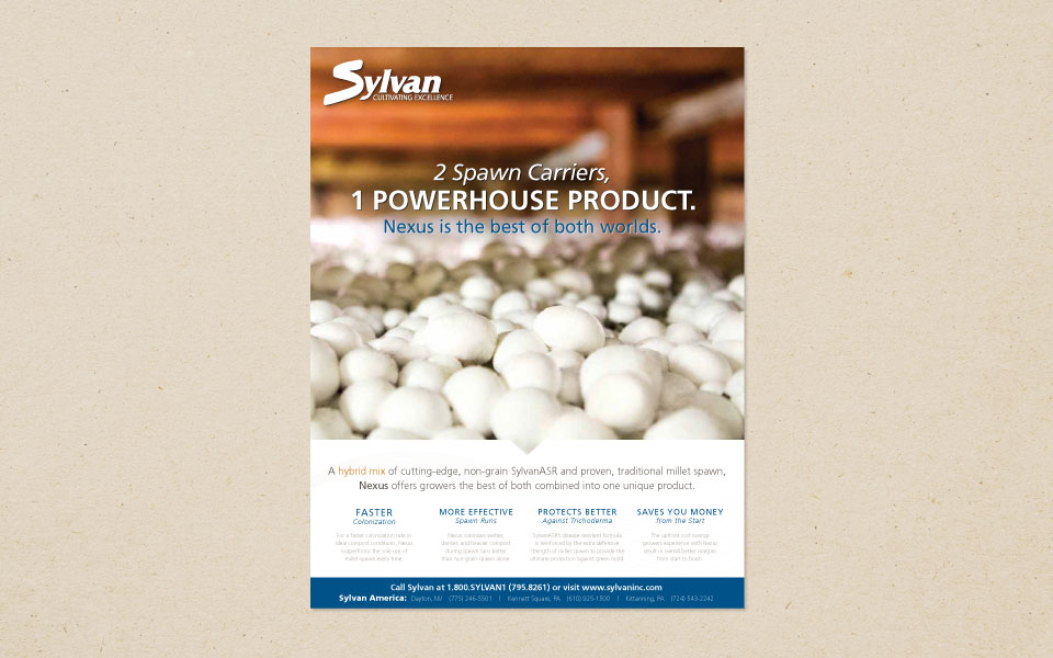 Sylvan Ad