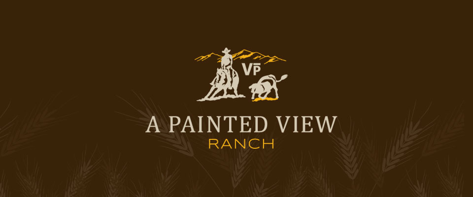 A Painted View Logo