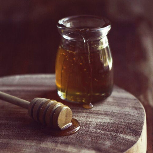 Honey Bee